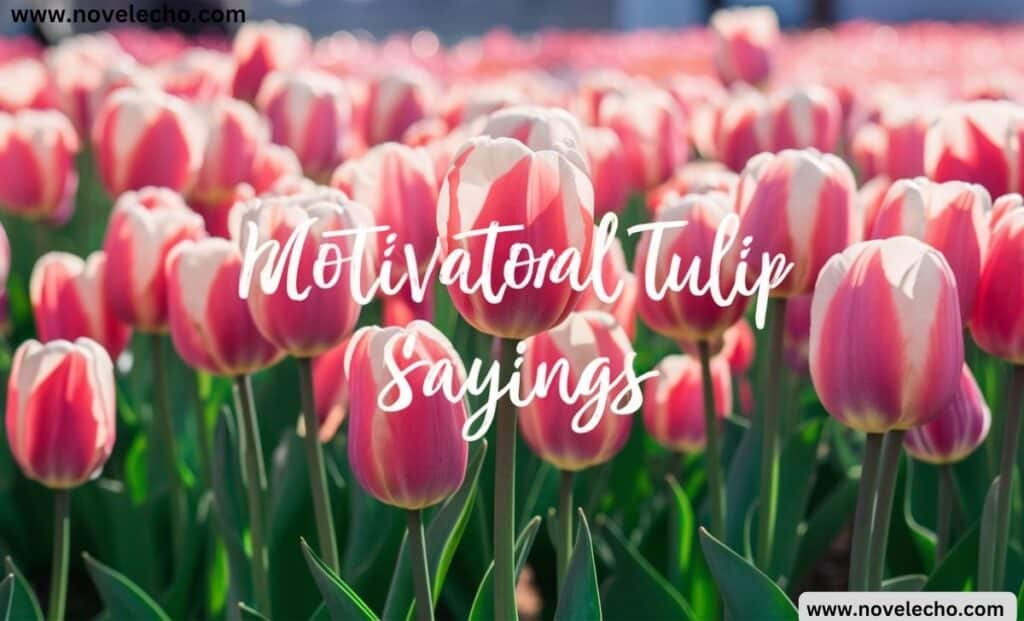 Motivational Tulip Saying