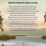 Prayer Poem by Mary Oliver: Spirituality and Gratitude